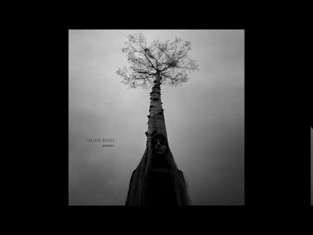 YouTube에서 Paradox Obscur - Testimony 보기 YouTube에서 Paradox Obscur - Testimony 보기