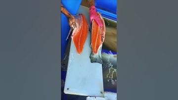Fastest salmon cutter 😱 #shorts #fish #salmon #sashimi