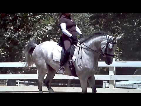 Grace and Roxy canter right