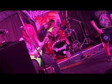 Viogression Live at the Tampa Death Fest - Nectar of Veins - 9/4/2026 - Brass Mug