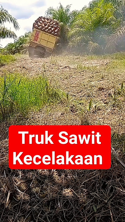 Truk Sawit Kecelakaan#shorts #herichannel #truk #viral #trending #animasimobiltruk #truck #bus#truck
