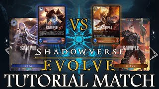 Let's learn SHADOWVERSE EVOLVE!! | Witch / Runecraft vs Dragon / Dragoncraft Starter Decks
