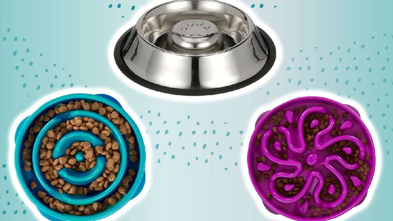 Healthier Cat: Slow Feeder cat Bowl Hack!