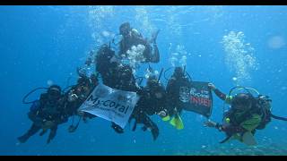 Throwback MSU MyCoral 8 0