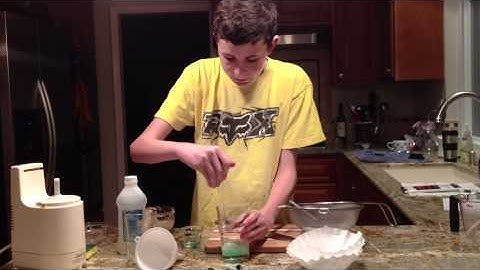 Onion DNA Extraction