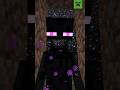 ENDERMAN'S BLOCK COLLECTION