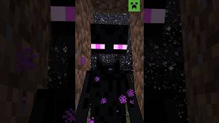 Enderman's Block Collection