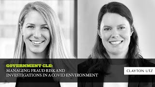 Details Government - Managing Fraud Risk and Investigations in a COVID Environment Update