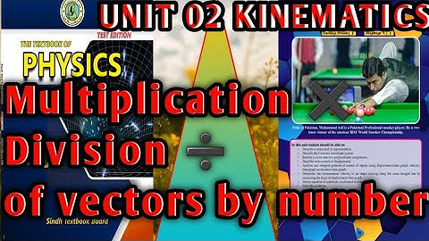 physics class 11 chapter 2 multiplication and division of vectors by number