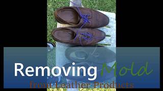 I do not own the copyrights of this background music myspace -
kimengumi [vlog no copyright music] https://www./watch?v=6eaz-haedos
checkout our b...