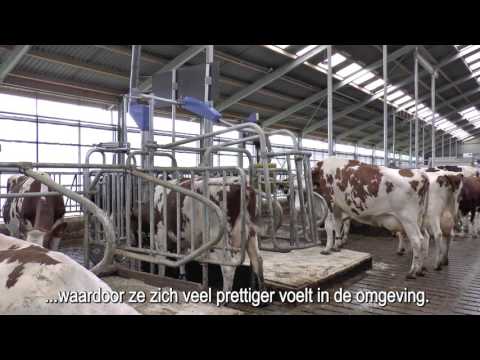 Miniatuur van productvideo