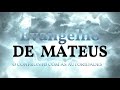 36 - MATEUS - CONFRONTO COM AS AUTORIDADES