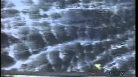 CSIS claims it never thought of keeping evidence in biggest act of terrorism in Canadian history