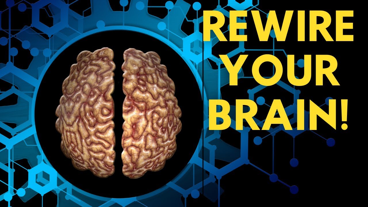 Maximize Your Mental Ability with the Wayne Cook Method