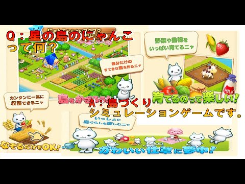 にゃんこ島 にゃんこ ほしの島のにゃんこ - Google Play のアプリ