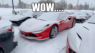 SNOW COVERED FERRARI'S AND WINTER FUN IN MY MINI JCW!