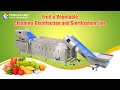 Fengxiang WA-2000 Bubble Vegetable and Fruit Washing Machine#washingmachine #vegetables