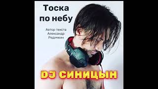 Dj Синицын - Тоска По Небу