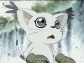 Tailmon S Miracle Early In Digimon 02 Tailmon S Miracle Early In Digimon 02