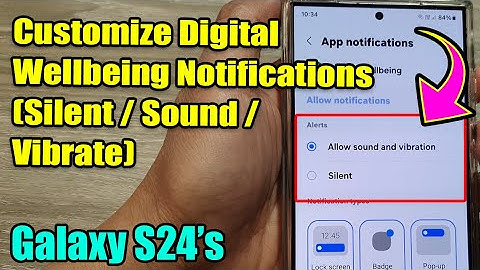 Galaxy S24: Customize Digital Wellbeing Notifications (Silent/Sound/Vibrate)
