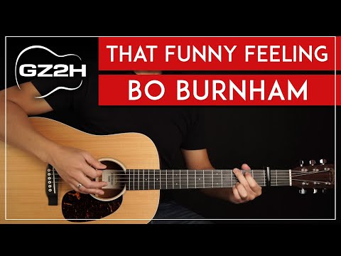 That Funny Feeling Guitar Tutorial Bo Burnham Guitar Lesson |Easy Chords|