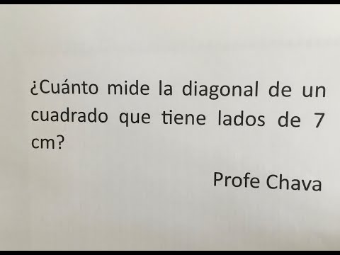 ¿Cuánto mide la