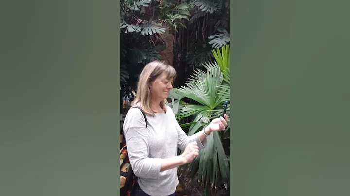 Welcome to the Jungle