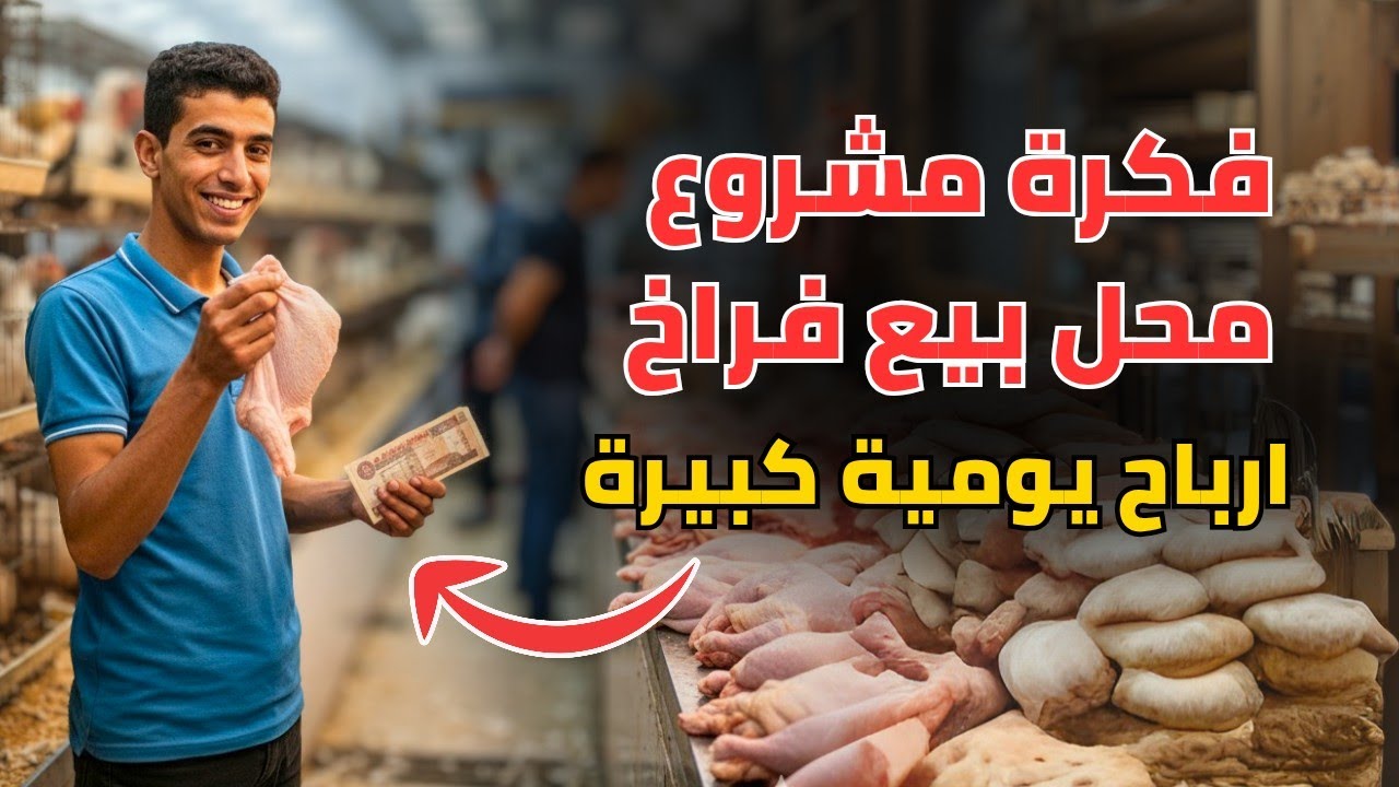 دراسة جدوى مشروع محل فراخ 2025 | أرباح كبيرة برأس مال بسيط