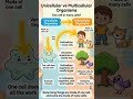 How Humans Beat Single-Celled Organisms🌱 #science #evolution #shorts