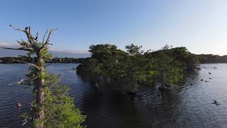 Over Lake Maitland...flying from dog island