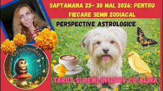 ♈☕️🌼🐶 BERBEC TAROT - 23 - 30 MAI, 2026 🌟🦋
