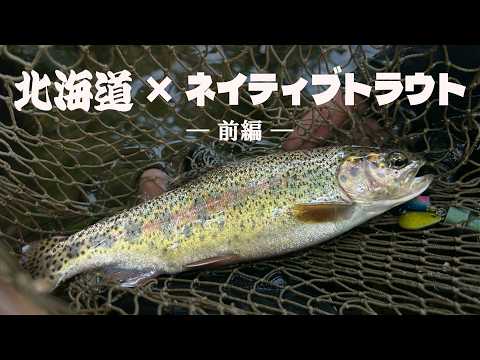 水平線の彼方へ produced by MADNESS JAPAN - YouTube
