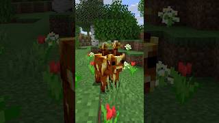 New Minecraft mods for 26.1