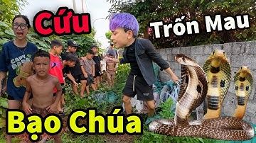 Căng ! Hậu Cáo Giải Cứu My Và Lũ Trẩu Tre Tóm Hổ Mang Bạo Chúa