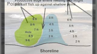 Reading the Beach - Holes, Points, Lips & Rips