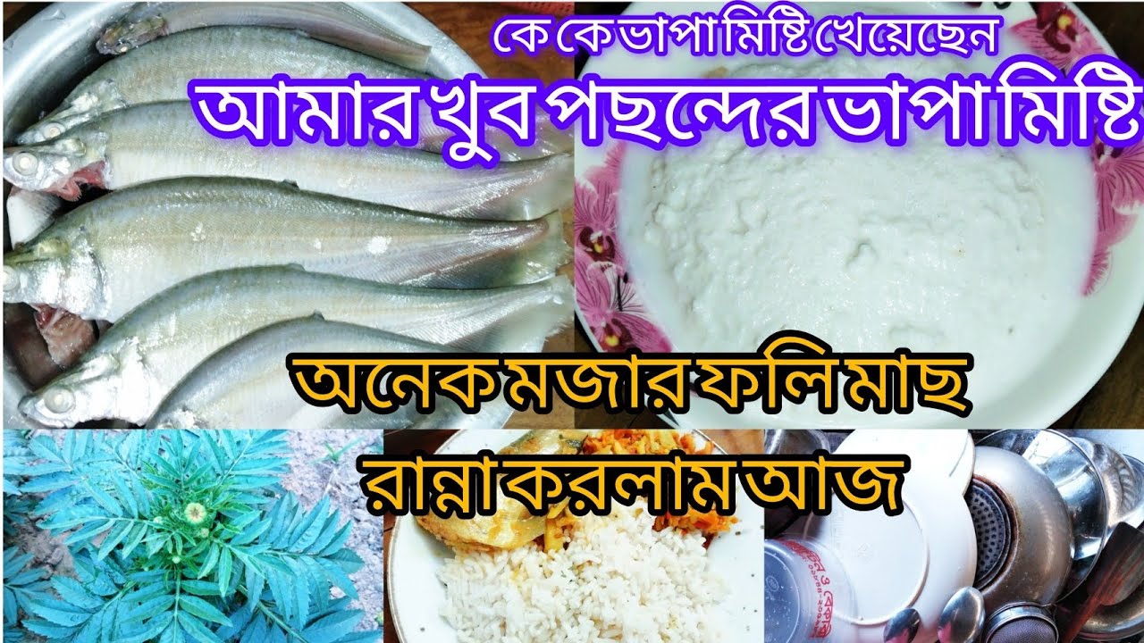 বর না জানিয়ে আমার পছন্দের ভাপা মিষ্টি নিয়ে আসলো😇অনেক মজাদার ফলি মাছ রান্না করলাম//Mishumoniravlogs