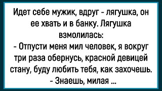 видео: 🤡Как Мужик Лягушку Нашёл! Сборник Смешных Анекдотов! Юмор! Позитив! картинка: 🤡Как Мужик Лягушку Нашёл! Сборник Смешных Анекдотов! Юмор! Позитив!