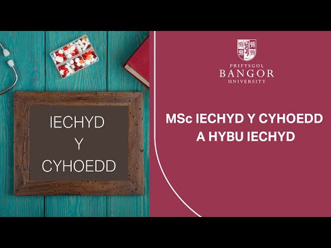 MSc Iechyd y Cyhoedd a Hybu Iechyd