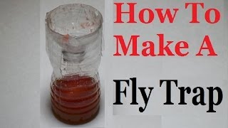 How to make a fly trap