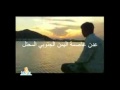 الفنانة كفى عراقي اغنية صبوحة خطبها نصيب