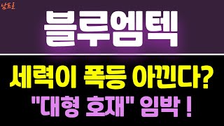 [블루엠텍 주가전망] 세력이 폭등 아낀다?  