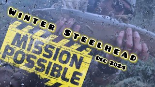 Mission Oregon Winter STEELHEAD - Searching For Steelhead on 4 Oregon Systems