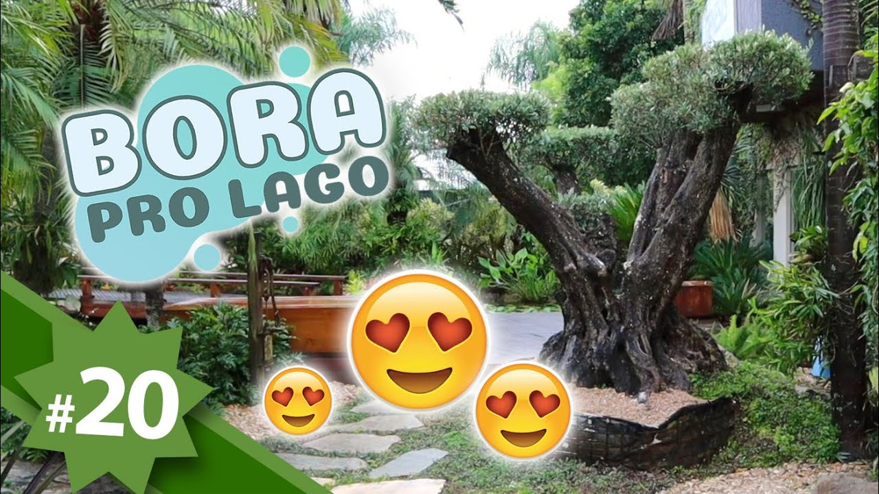 Nossa Oliveira Centenária chegou!!!| Bora pro Lago #20