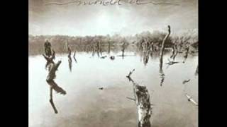 Bikini -Óriások És Törpék