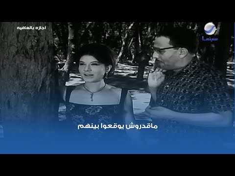 ماقدروش يوقعوا بينهم