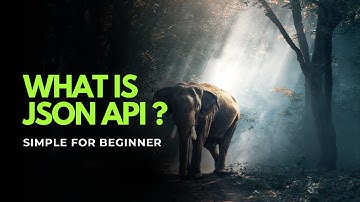 What Is JSON API? A Simple Explanation for Beginners