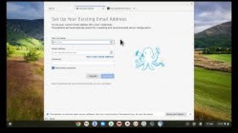 ChromeOS | Linux Development Environment | Install Thunderbird onto a Chromebook