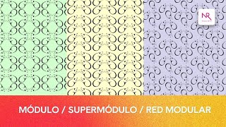 MODULE AND SUPERMODULE II