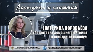 Как подготовить животное для поездки за рубеж Как подготовить животное для поездки за рубеж