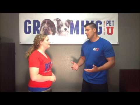 dog-training-milwaukee---rule-6:-who-is-walking-who?